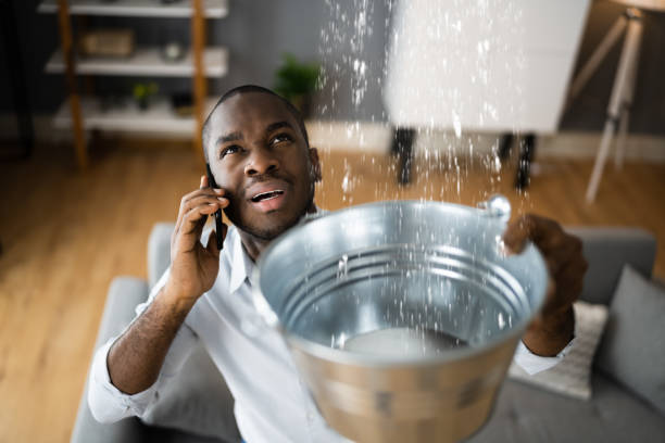 Best Commercial water damage restoration  in Breckenridge, MI