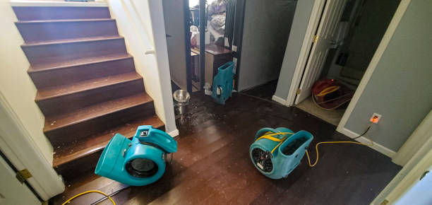 Best Sewage cleanup and water damage restoration  in Breckenridge, MI